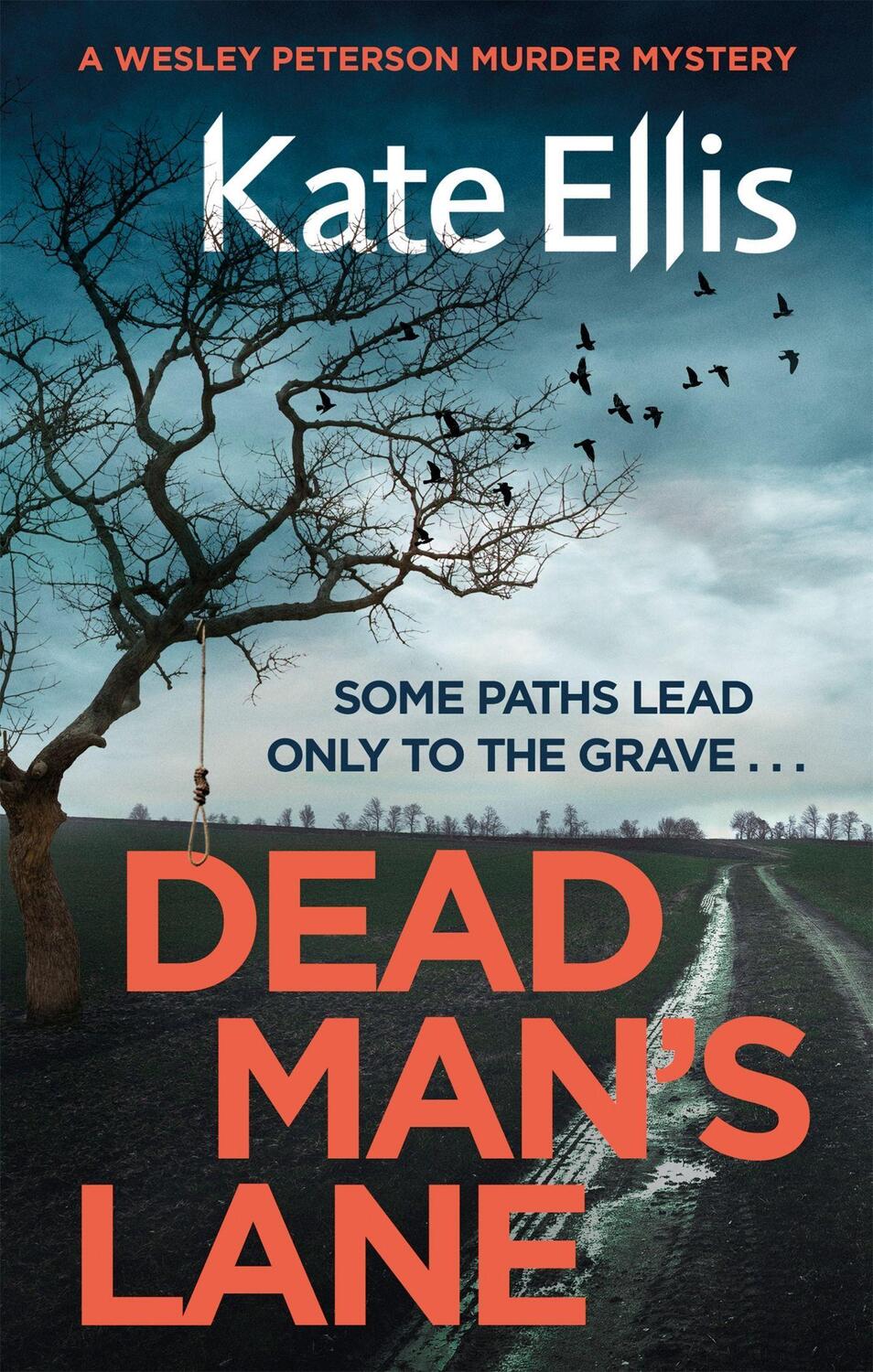 Cover: 9780349418285 | Dead Man's Lane | Book 23 in the DI Wesley Peterson crime series