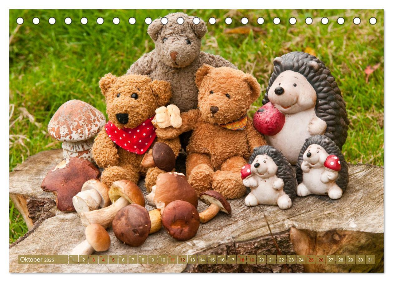 Bild: 9783435410842 | Kunterbunte Bärenwelt - Teddys (Tischkalender 2025 DIN A5 quer),...