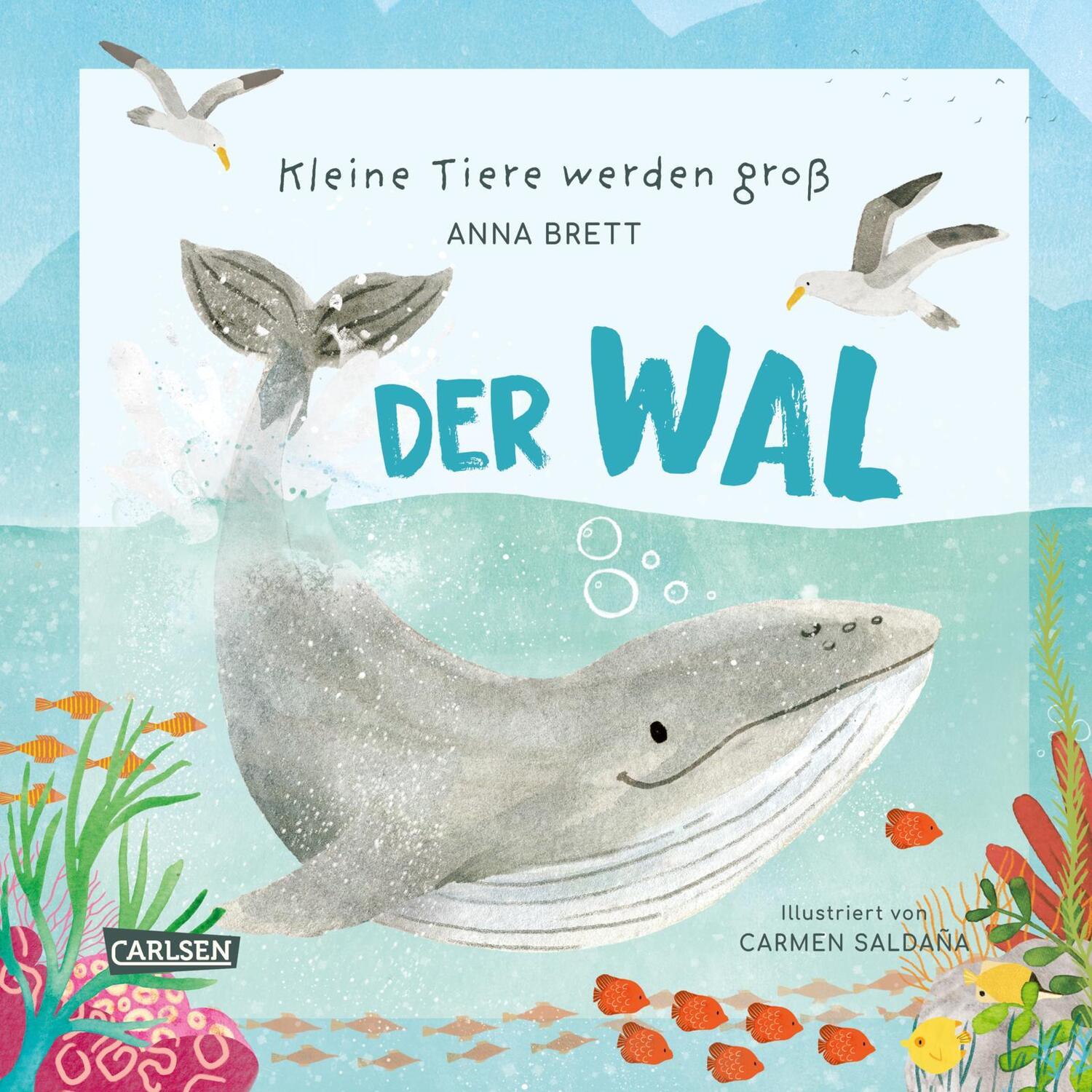 Cover: 9783551255211 | Kleine Tiere werden groß - Der Wal | Anna Brett | Buch | 48 S. | 2024