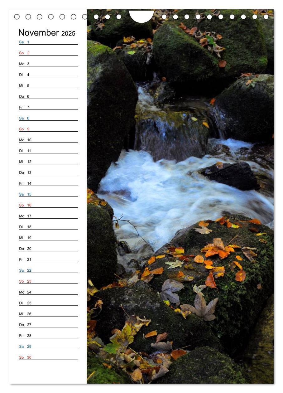 Bild: 9783457074534 | Schwarzwald (Wandkalender 2025 DIN A4 hoch), CALVENDO Monatskalender