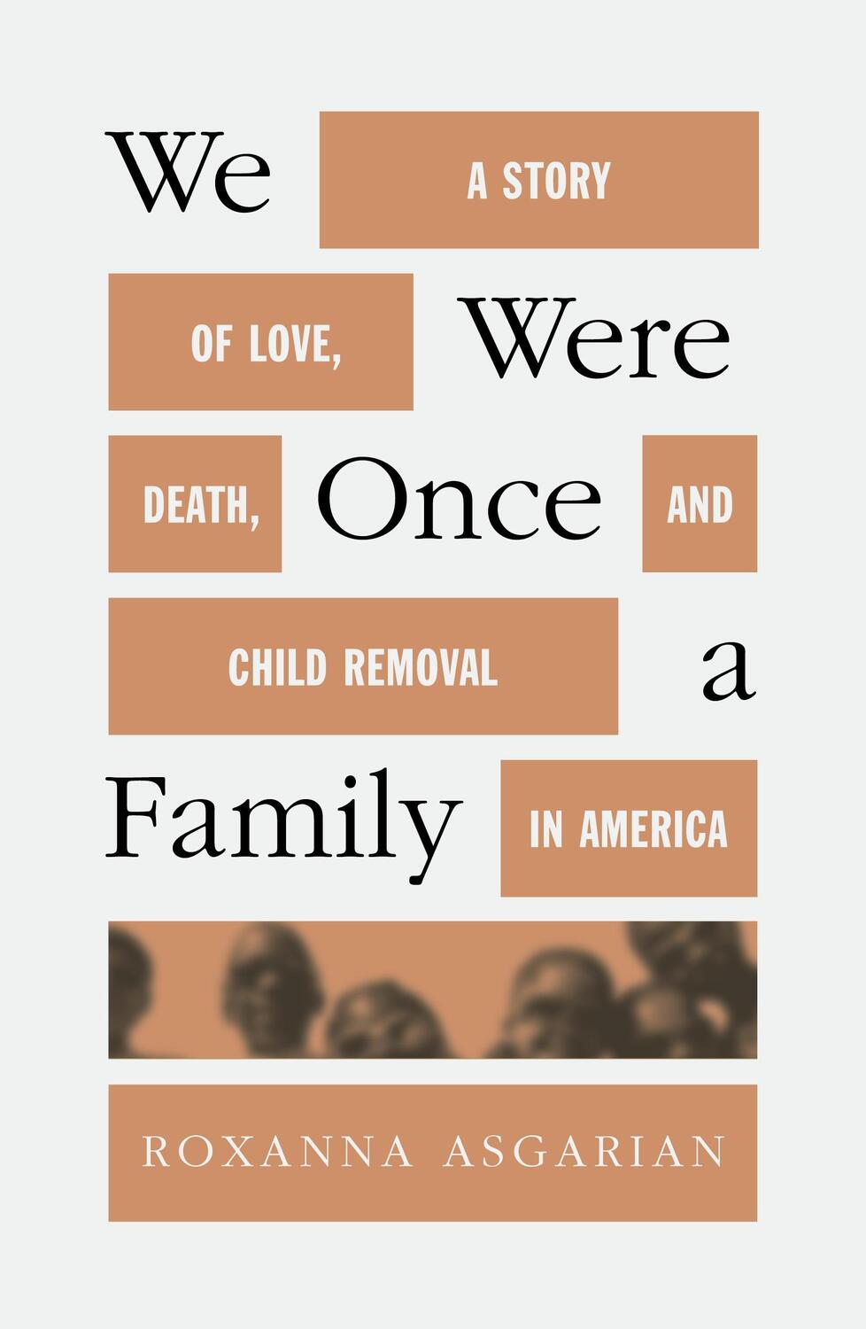 Cover: 9780374602291 | We Were Once a Family: A Story of Love, Death, and Child Removal in...