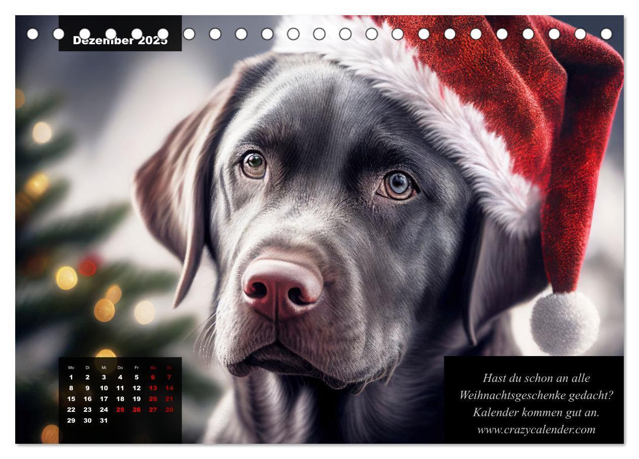 Bild: 9783435369027 | Der witzige Labrador-Kalender (Tischkalender 2025 DIN A5 quer),...