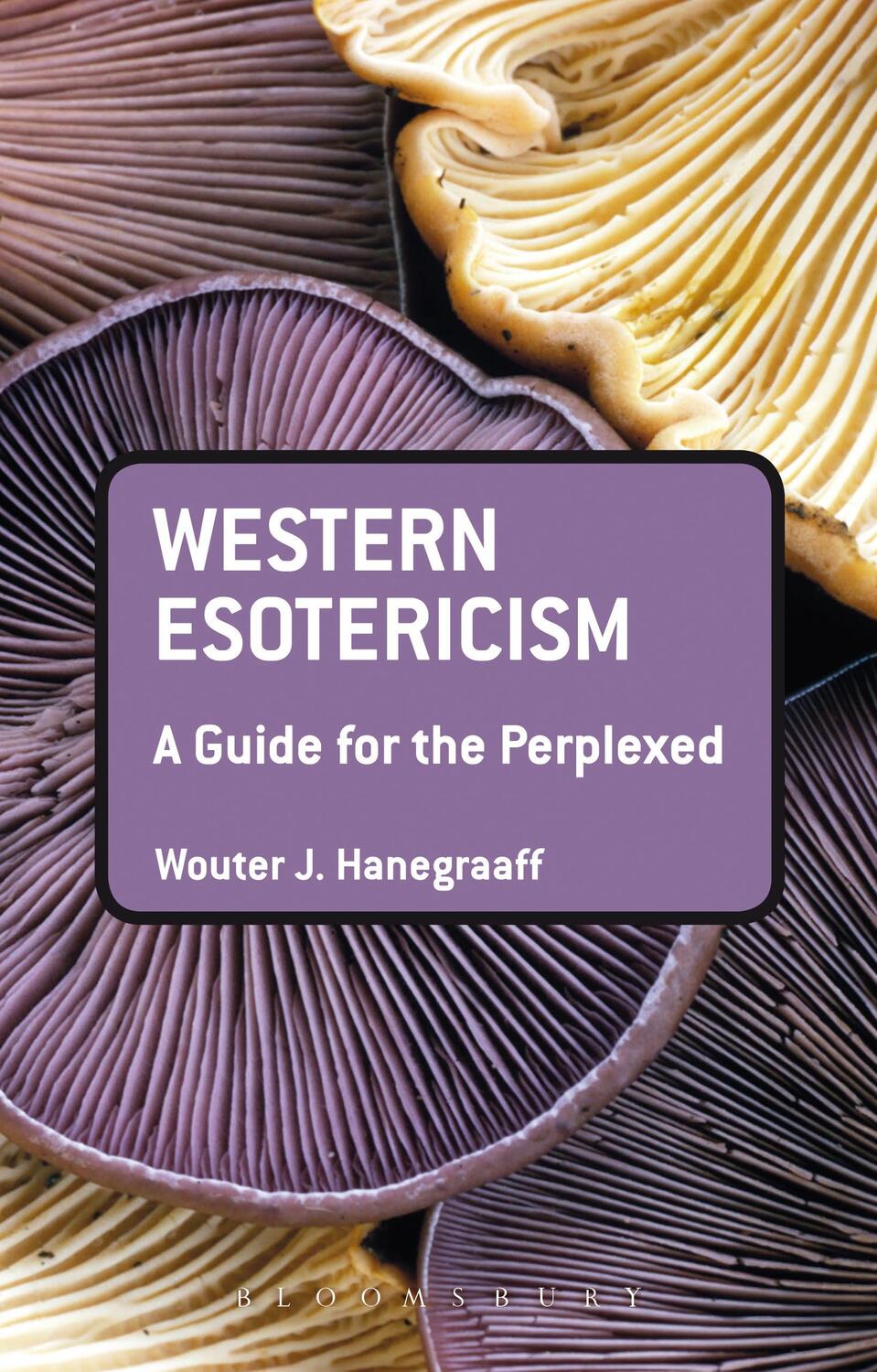 Cover: 9781441136466 | Western Esotericism: A Guide for the Perplexed | Wouter J. Hanegraaff