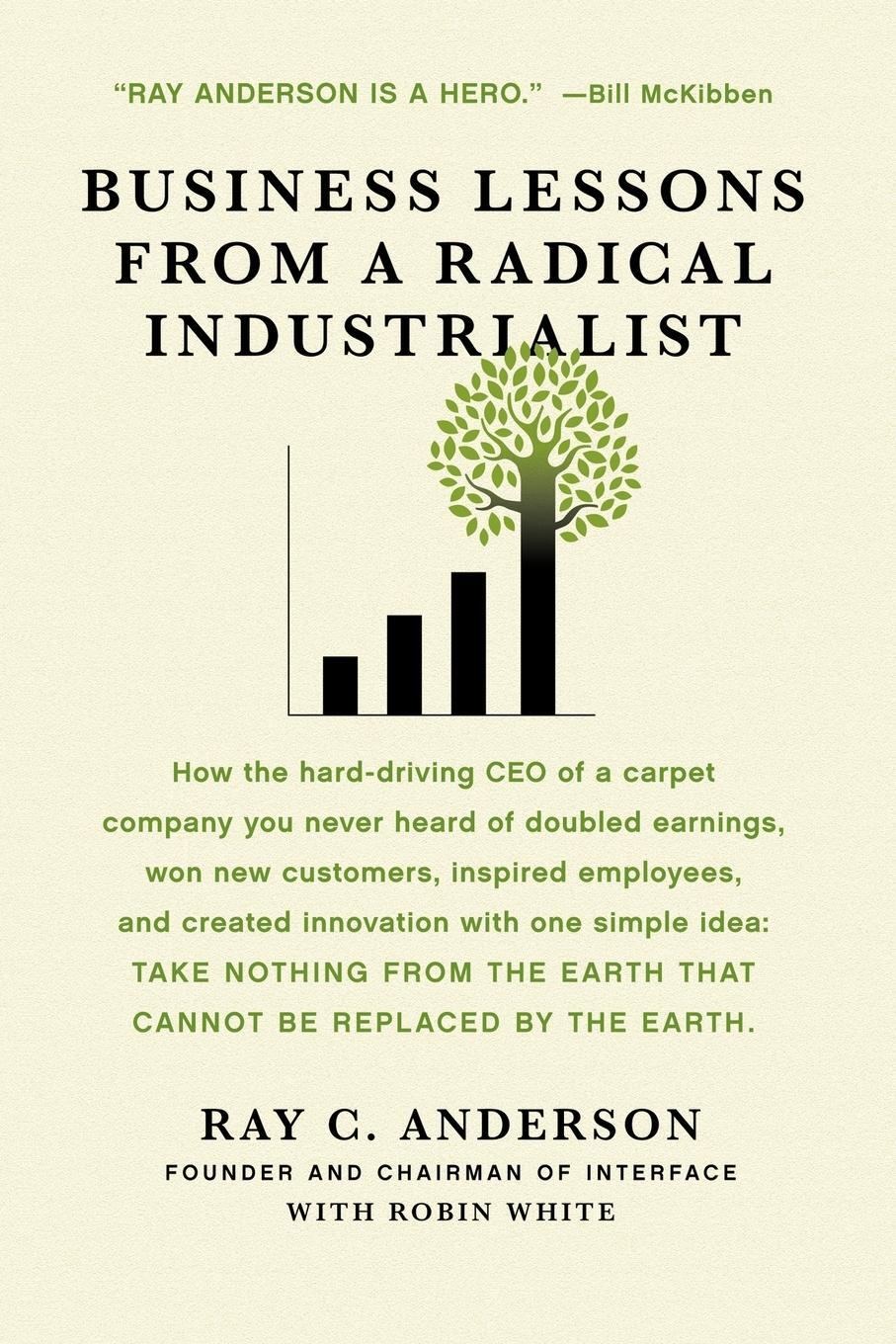 Cover: 9780312544553 | Business Lessons from a Radical Industrialist | Anderson (u. a.)