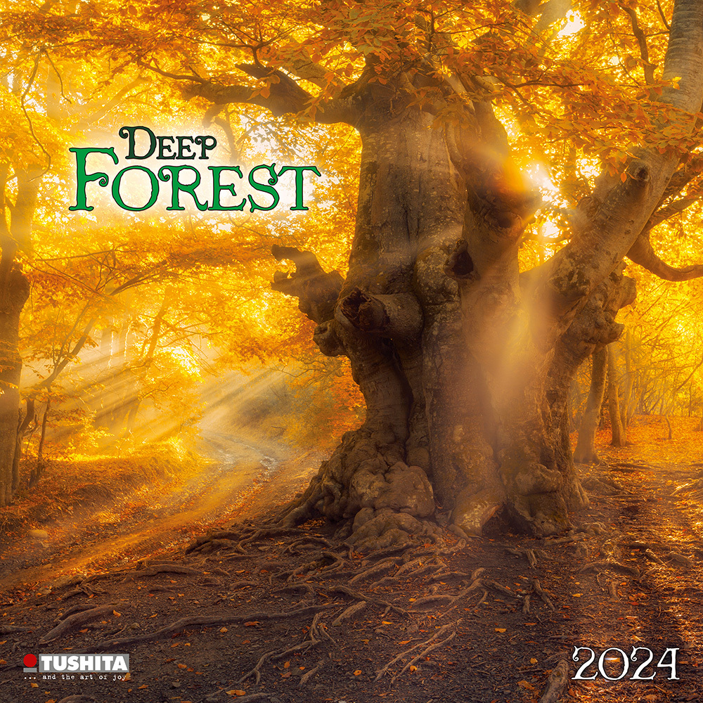 Cover: 9783959292474 | Deep Forest 2024 | Kalender 2024 | Kalender | Drahtheftung | 28 S.