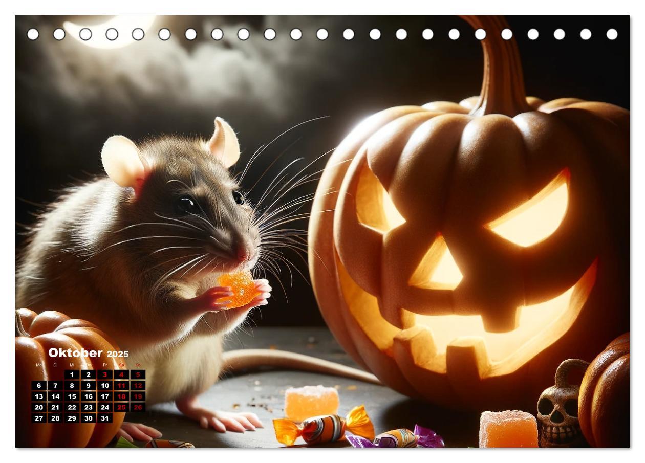 Bild: 9783383842221 | Lustige Ratten (Tischkalender 2025 DIN A5 quer), CALVENDO...