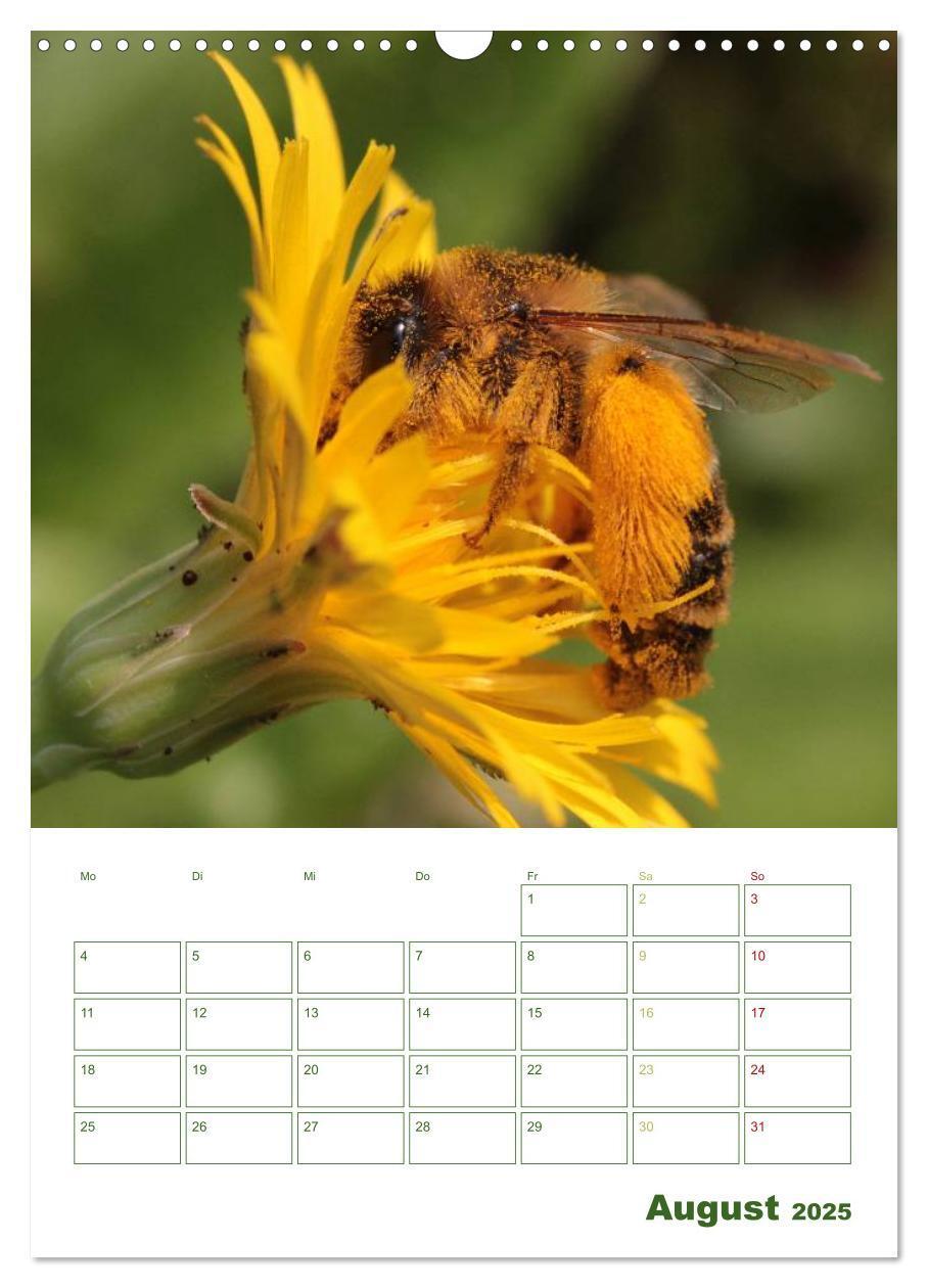 Bild: 9783457030493 | Bienen-Terminplaner 2025 (Wandkalender 2025 DIN A3 hoch), CALVENDO...