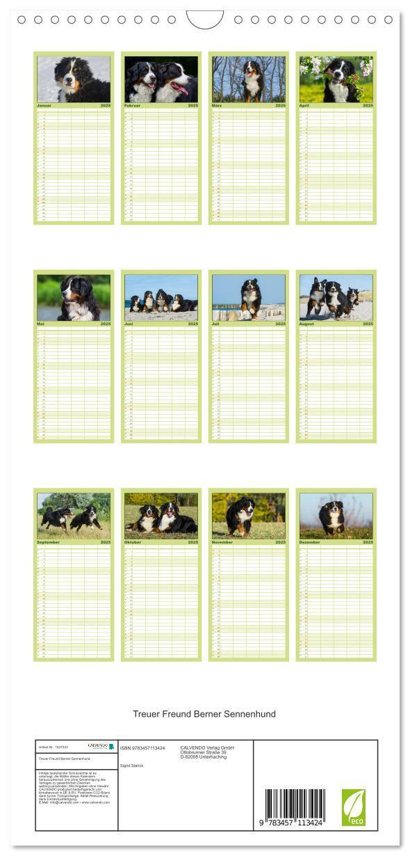 Bild: 9783457113424 | Familienplaner 2025 - Treuer Freund Berner Sennenhund mit 5 Spalten...