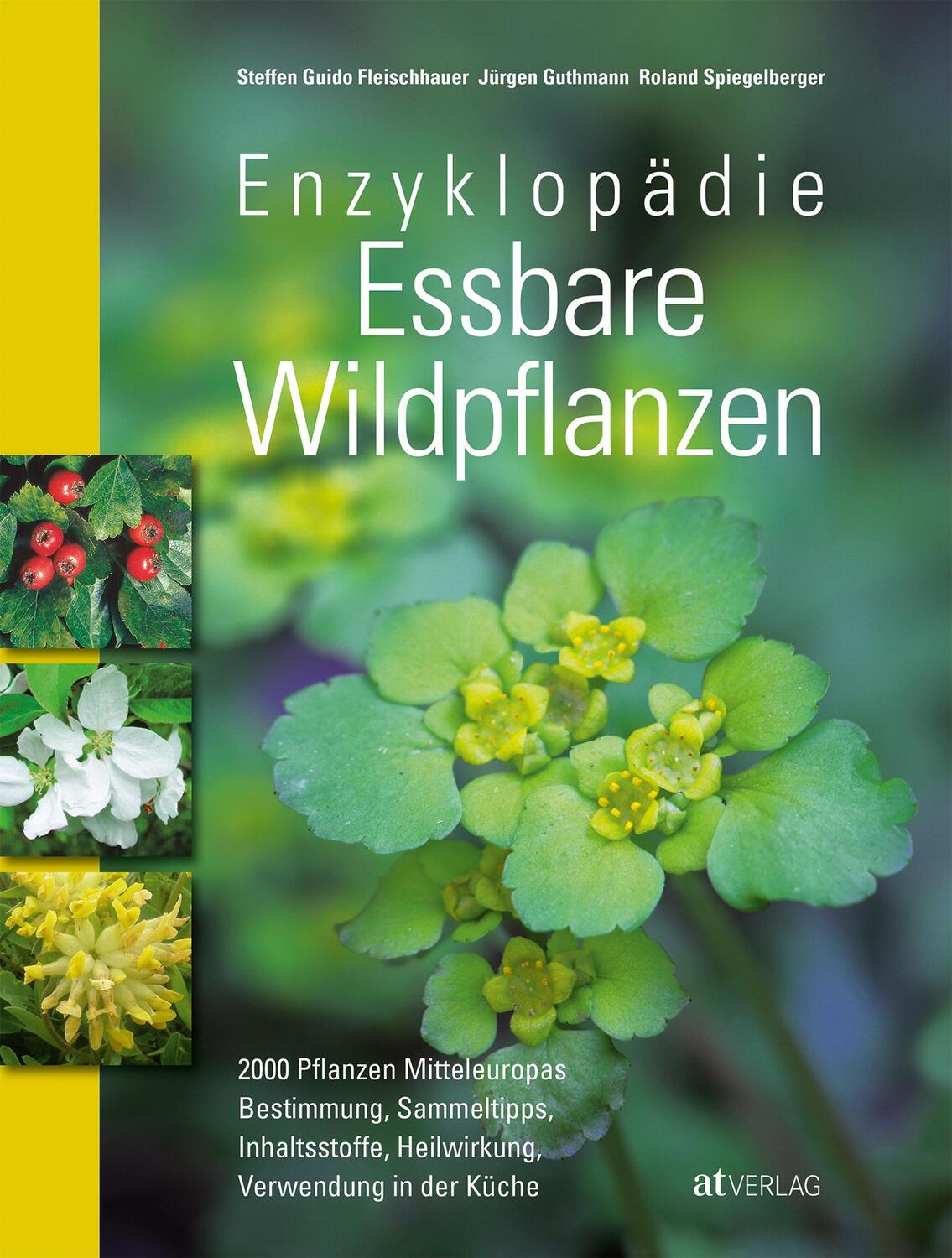 Cover: 9783038007524 | Enzyklopädie Essbare Wildpflanzen | 2000 Pflanzen Mitteleuropas | Buch