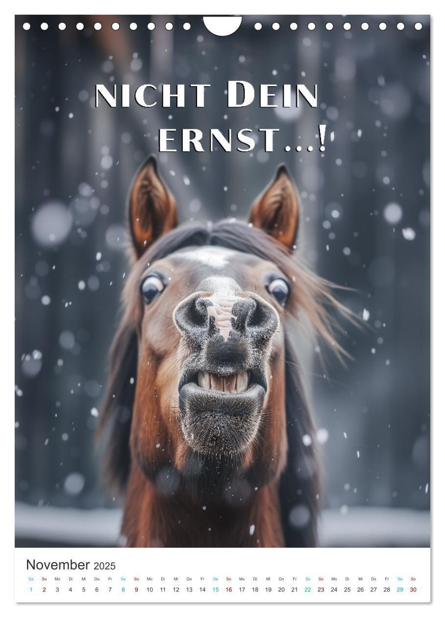 Bild: 9783383779770 | Lustige Tiere (Wandkalender 2025 DIN A4 hoch), CALVENDO Monatskalender