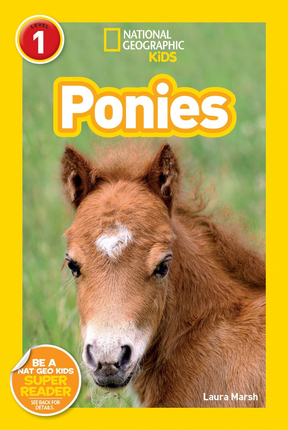 Cover: 9781426308499 | Ponies | Laura Marsh | Taschenbuch | Kartoniert / Broschiert | 2011