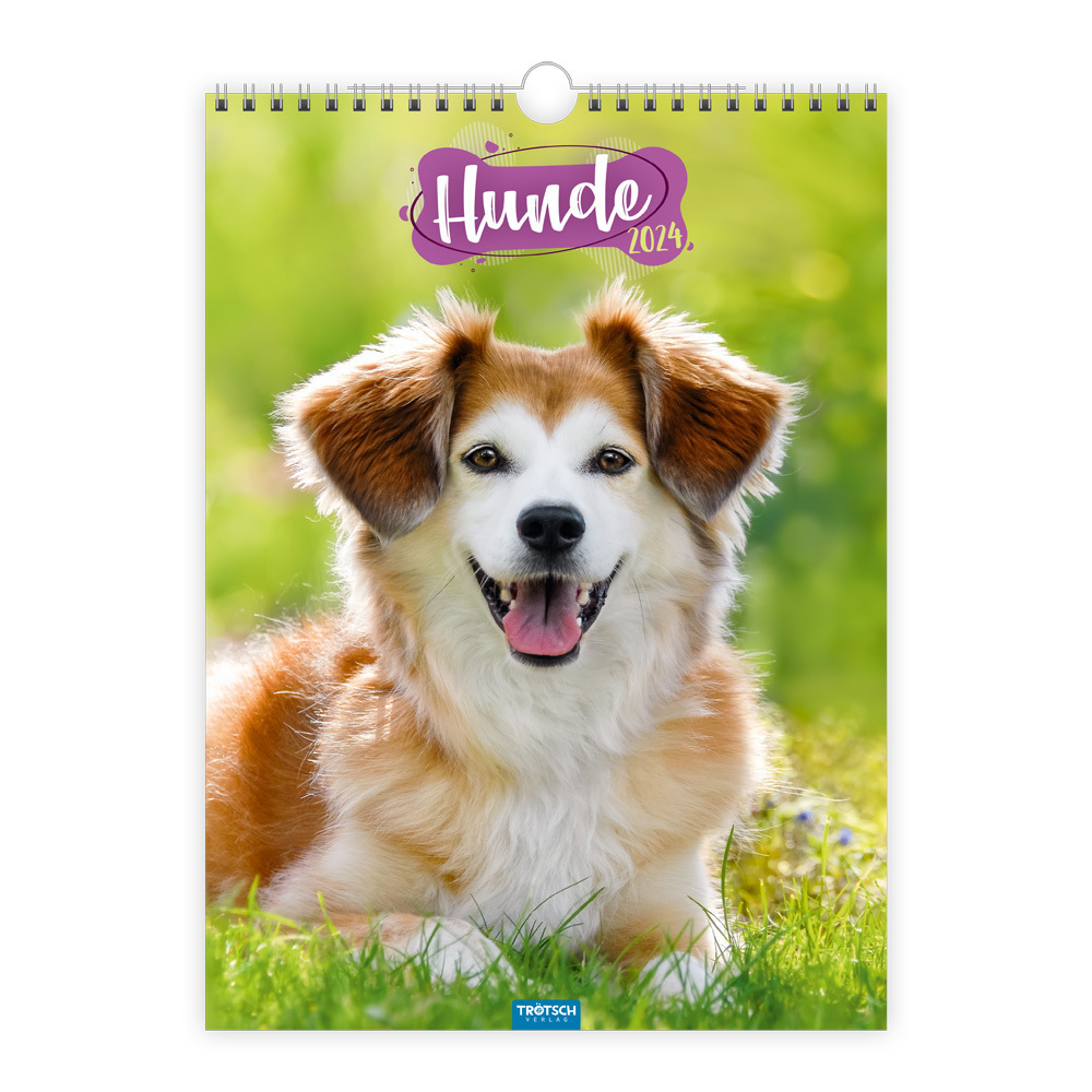 Cover: 9783965529809 | Trötsch Classickalender Hunde 2024 | Wandkalender | Co.KG | Kalender