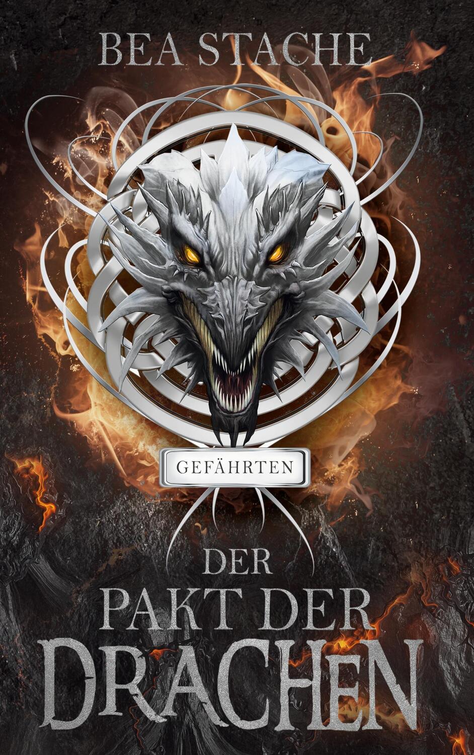 Cover: 9783754331224 | Der Pakt der Drachen - Gefährten | Fantasyroman | Bea Stache | Buch