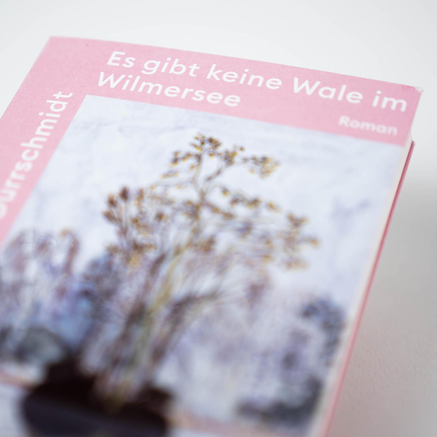 Bild: 9783365002858 | Es gibt keine Wale im Wilmersee | Roman | Laura Dürrschmidt | Buch