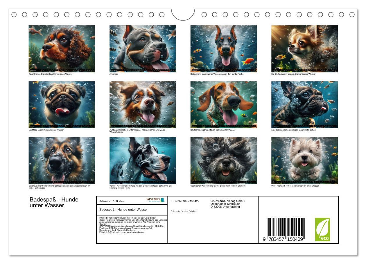 Bild: 9783457150429 | Badespaß - Hunde unter Wasser (Wandkalender 2025 DIN A4 quer),...