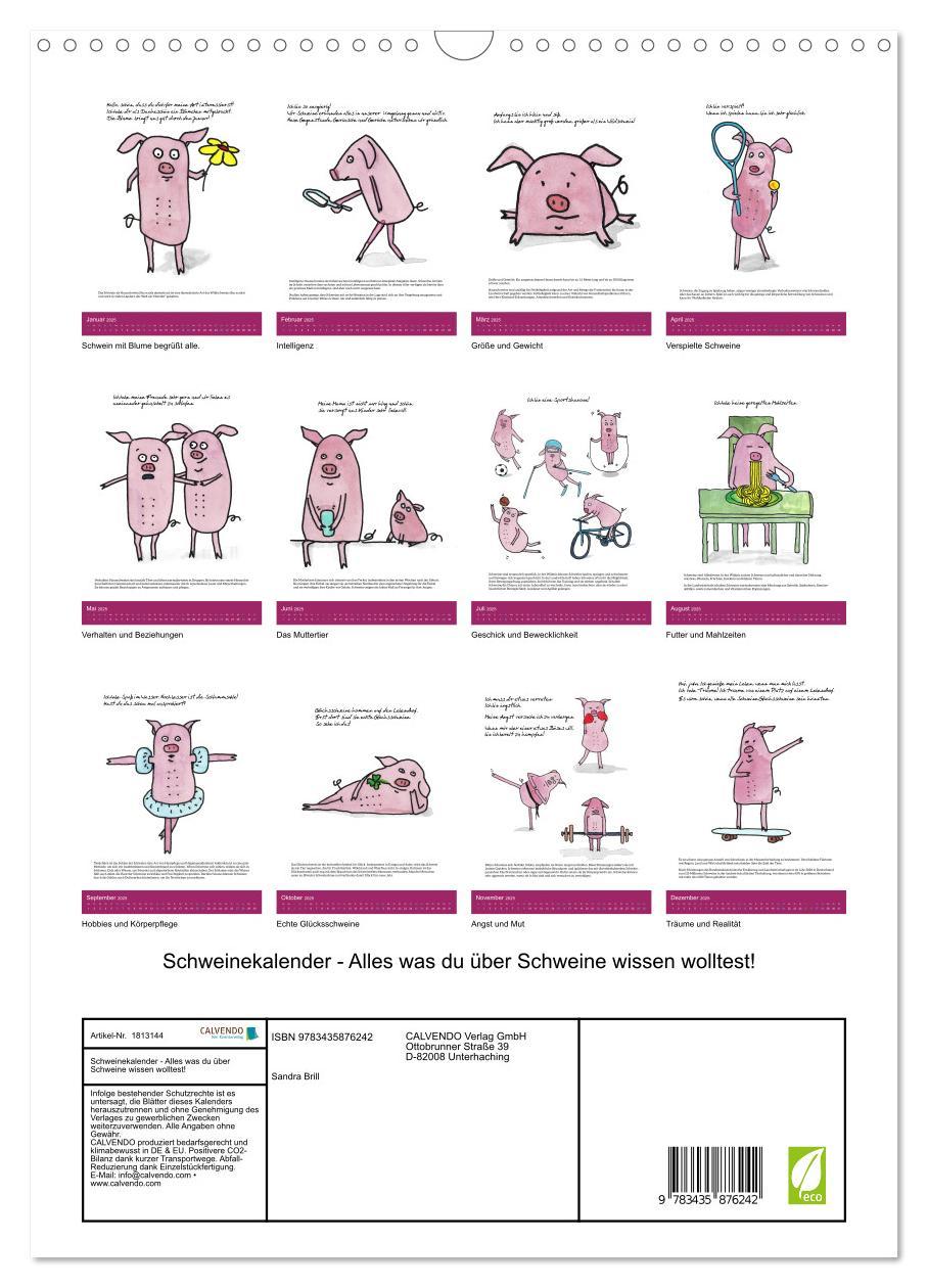 Bild: 9783435876242 | Schweinekalender - Alles was du über Schweine wissen wolltest!...