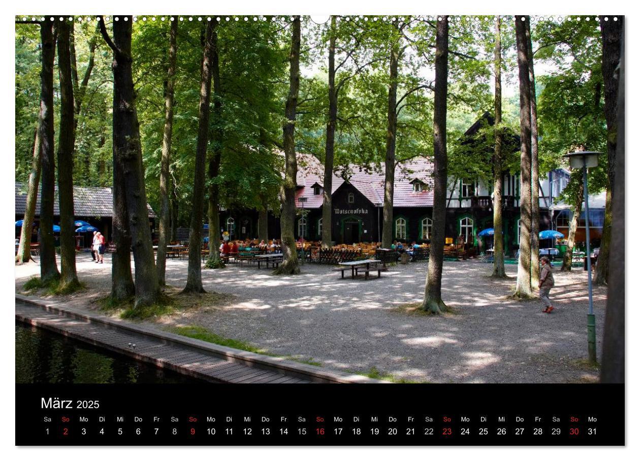 Bild: 9783435810192 | Geheimnisvoller Spreewald (Wandkalender 2025 DIN A2 quer), CALVENDO...