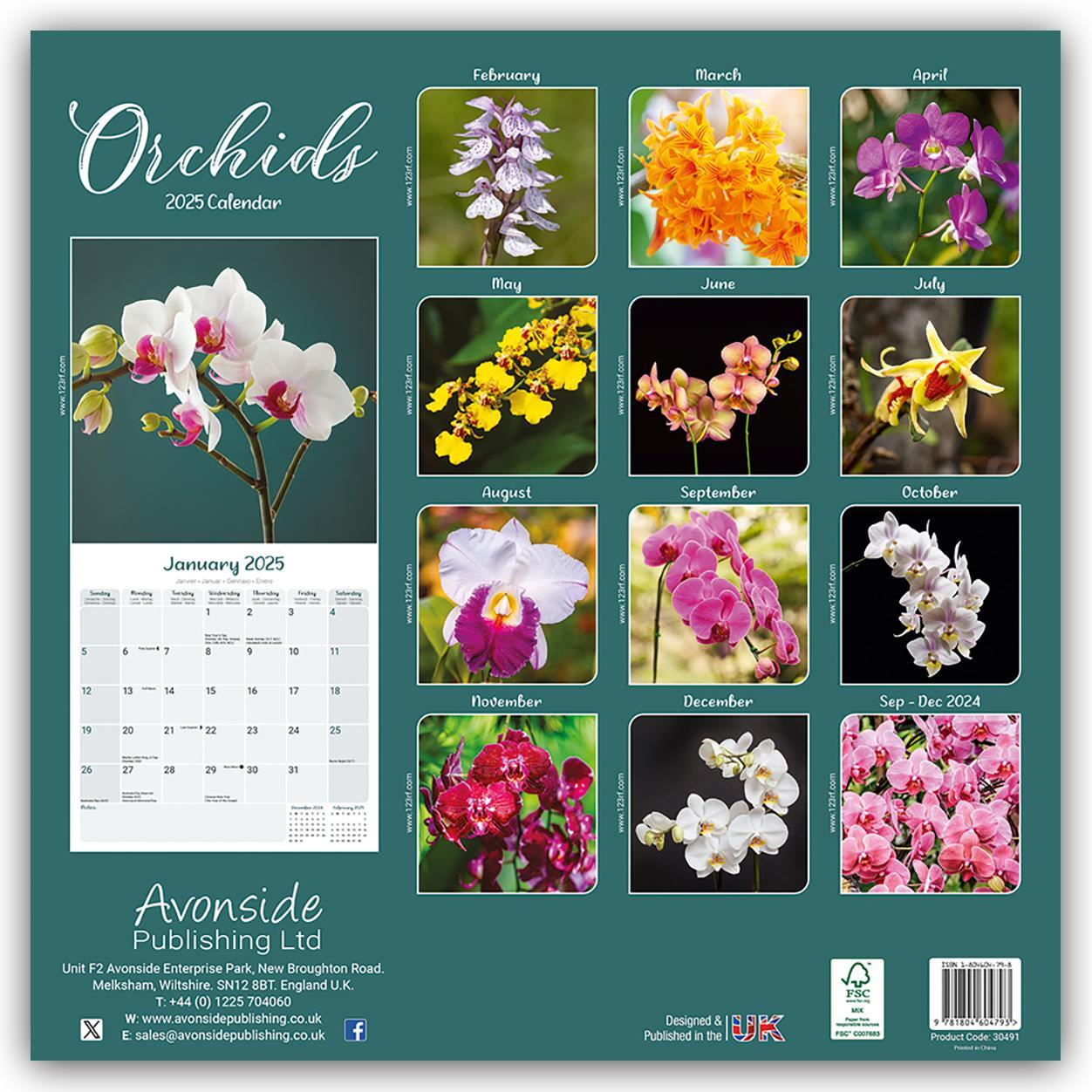 Rückseite: 9781804604793 | Orchids - Orchideen 2025 - 16-Monatskalender | Avonside Publishing Ltd