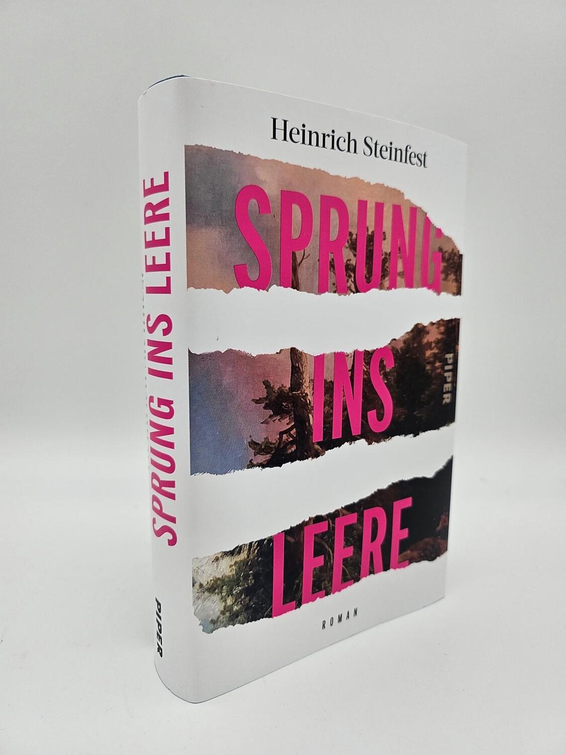 Bild: 9783492072151 | Sprung ins Leere | Heinrich Steinfest | Buch | 496 S. | Deutsch | 2024