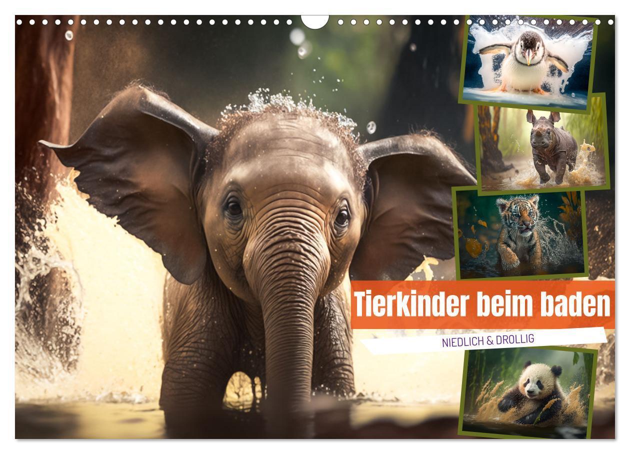 Cover: 9783675440425 | Tierkinder beim baden (Wandkalender 2024 DIN A3 quer), CALVENDO...