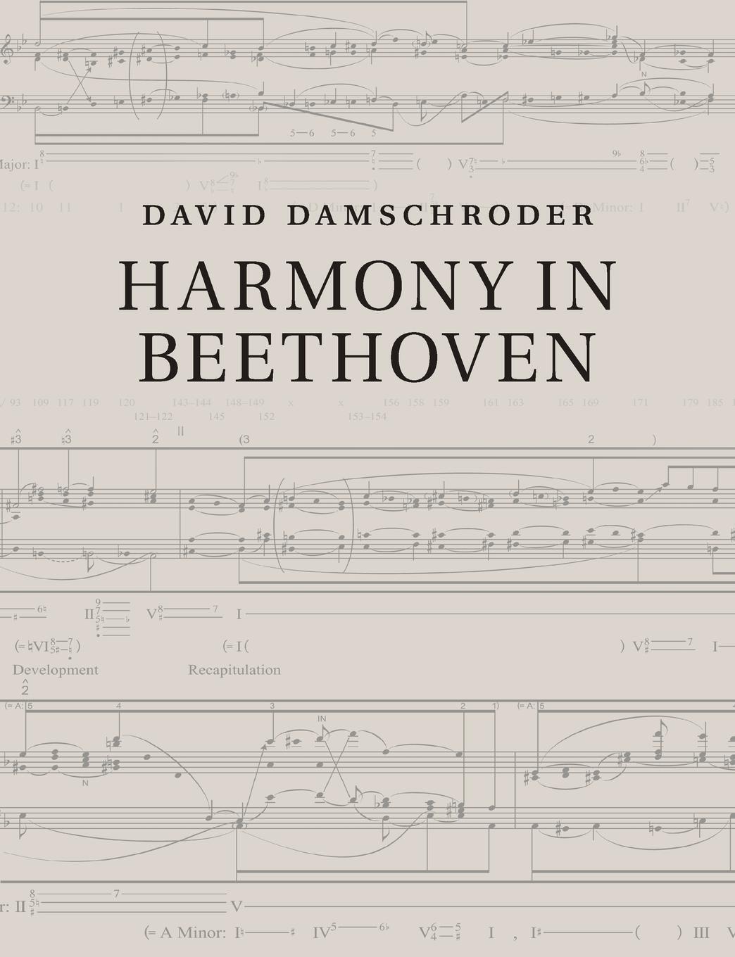 Cover: 9781316500620 | Harmony in Beethoven | David Damschroder | Taschenbuch | Paperback