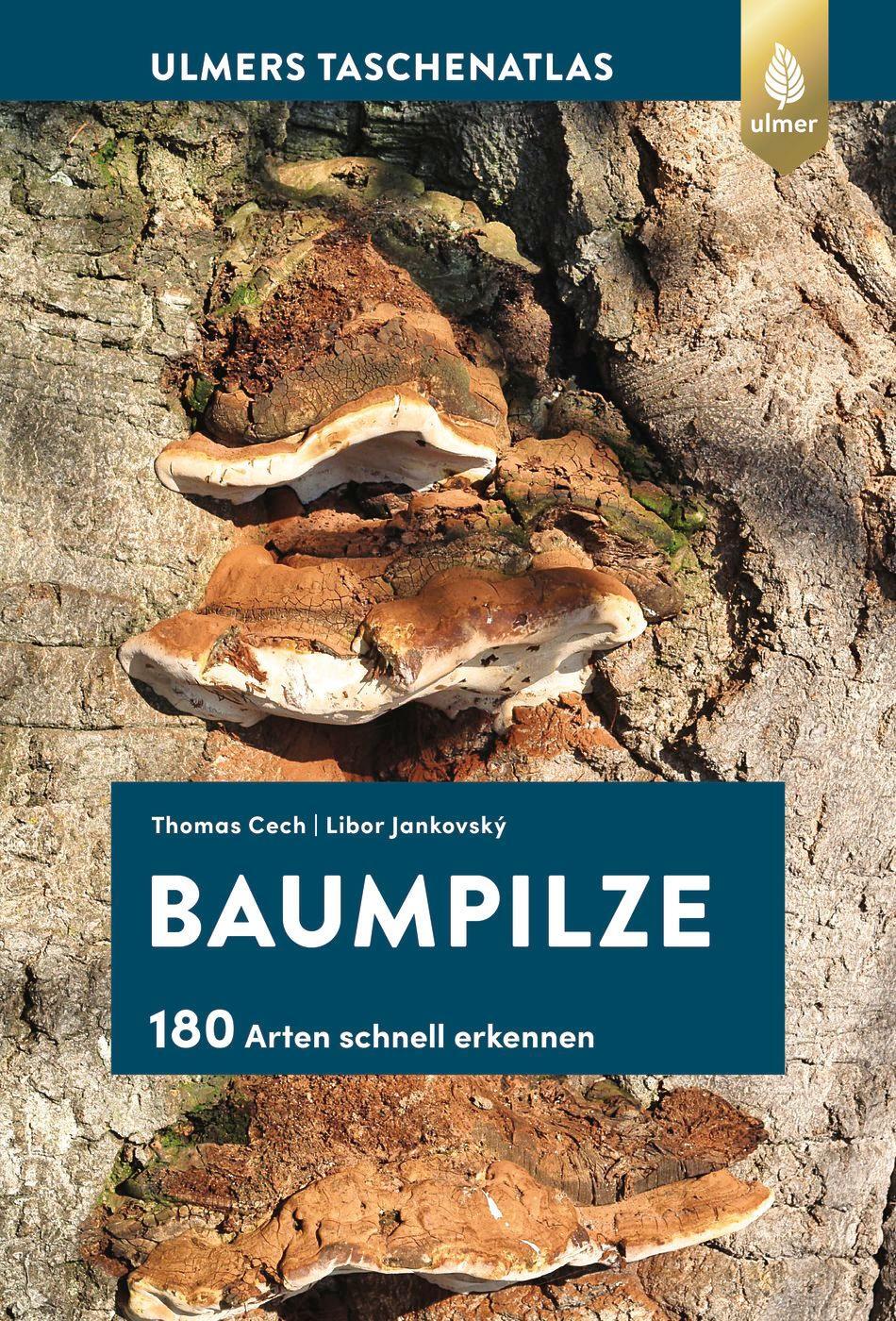 Cover: 9783818606930 | Baumpilze | 180 Arten schnell erkennen | Thomas L. Cech (u. a.) | Buch