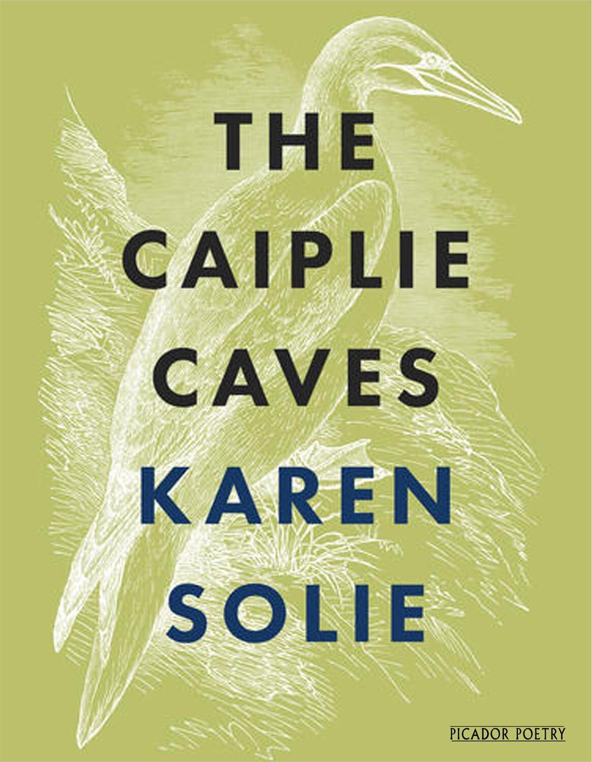 Cover: 9781529005325 | The Caiplie Caves | Karen Solie | Taschenbuch | Englisch | 2019