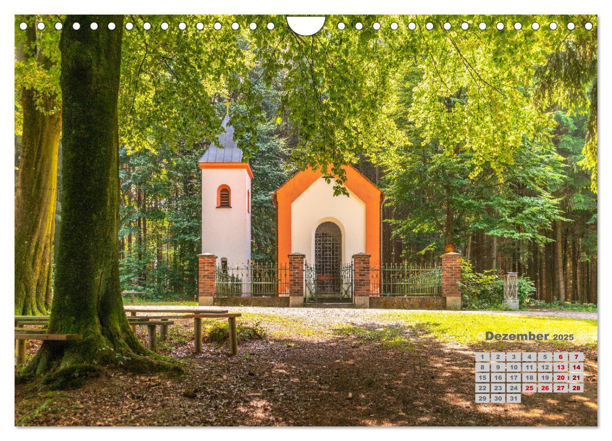 Bild: 9783435212675 | Hopfenland Holledau (Wandkalender 2025 DIN A4 quer), CALVENDO...