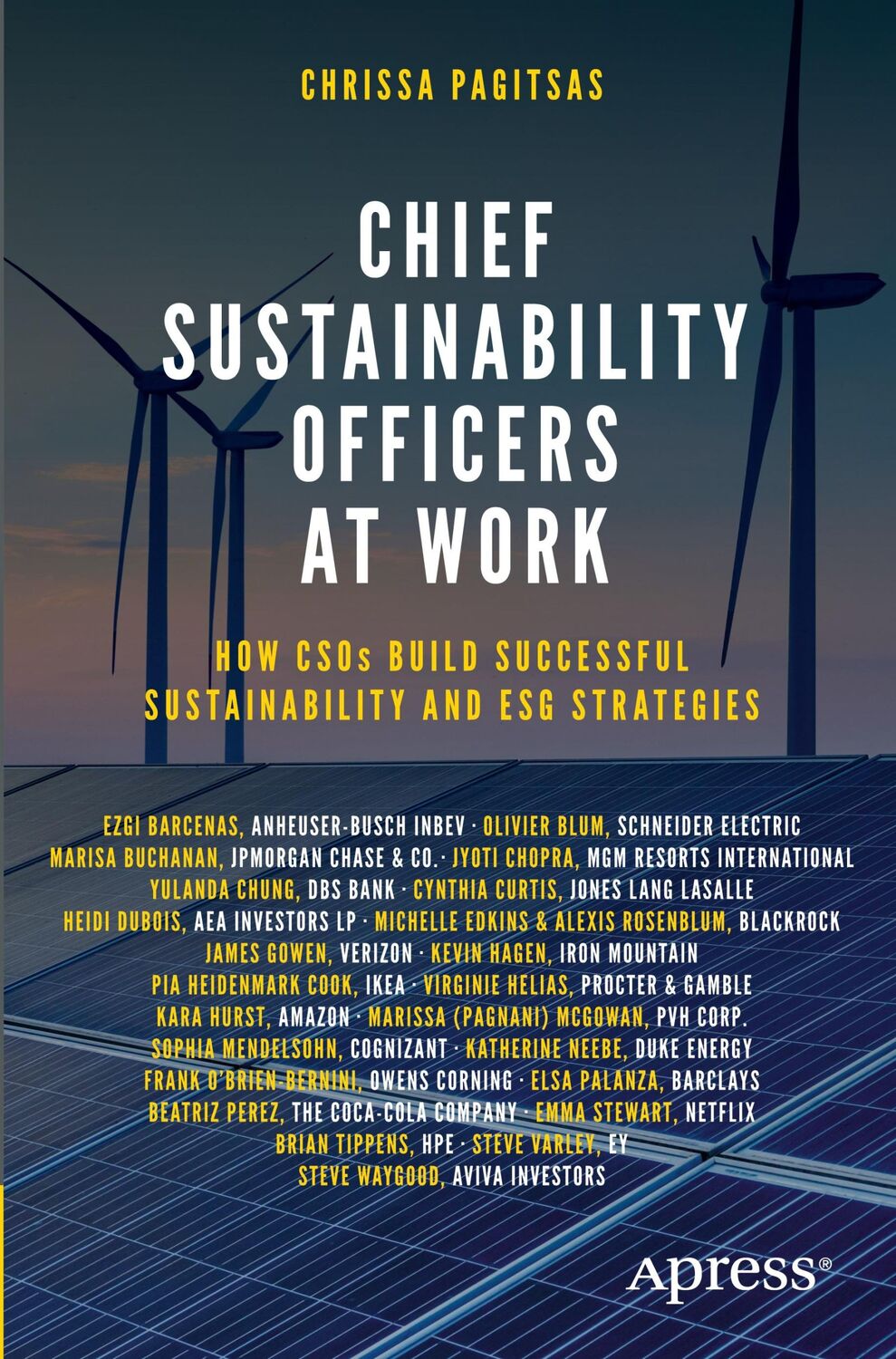 Cover: 9781484278659 | Chief Sustainability Officers At Work | Chrissa Pagitsas | Taschenbuch