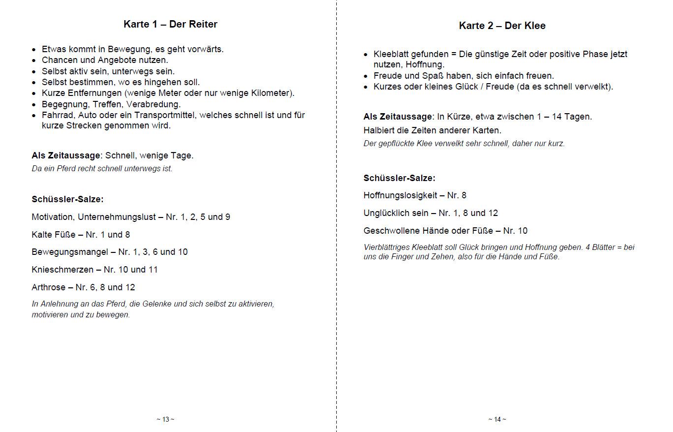 Bild: 9783943729894 | Kartenlegen lernen mit 40x LENORMAND POWER Schüssler-Salze | Schulze