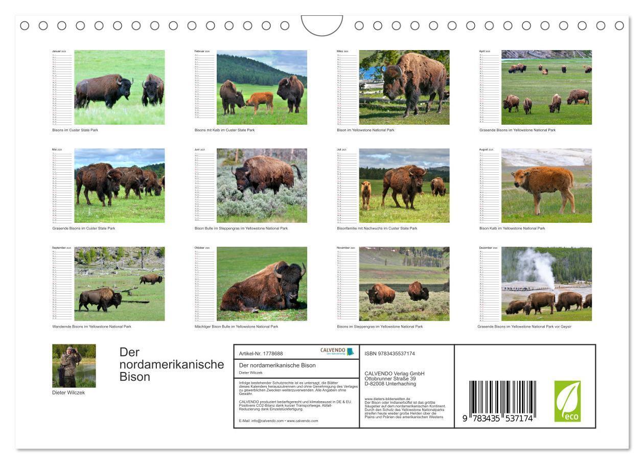 Bild: 9783435537174 | Der nordamerikanische Bison (Wandkalender 2025 DIN A4 quer),...