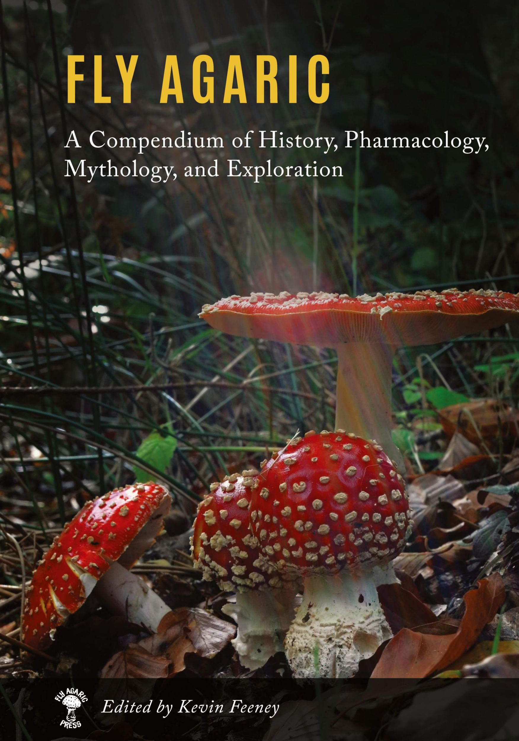 Cover: 9780578303321 | Fly Agaric | Kevin M Feeney | Buch | Englisch | 2021