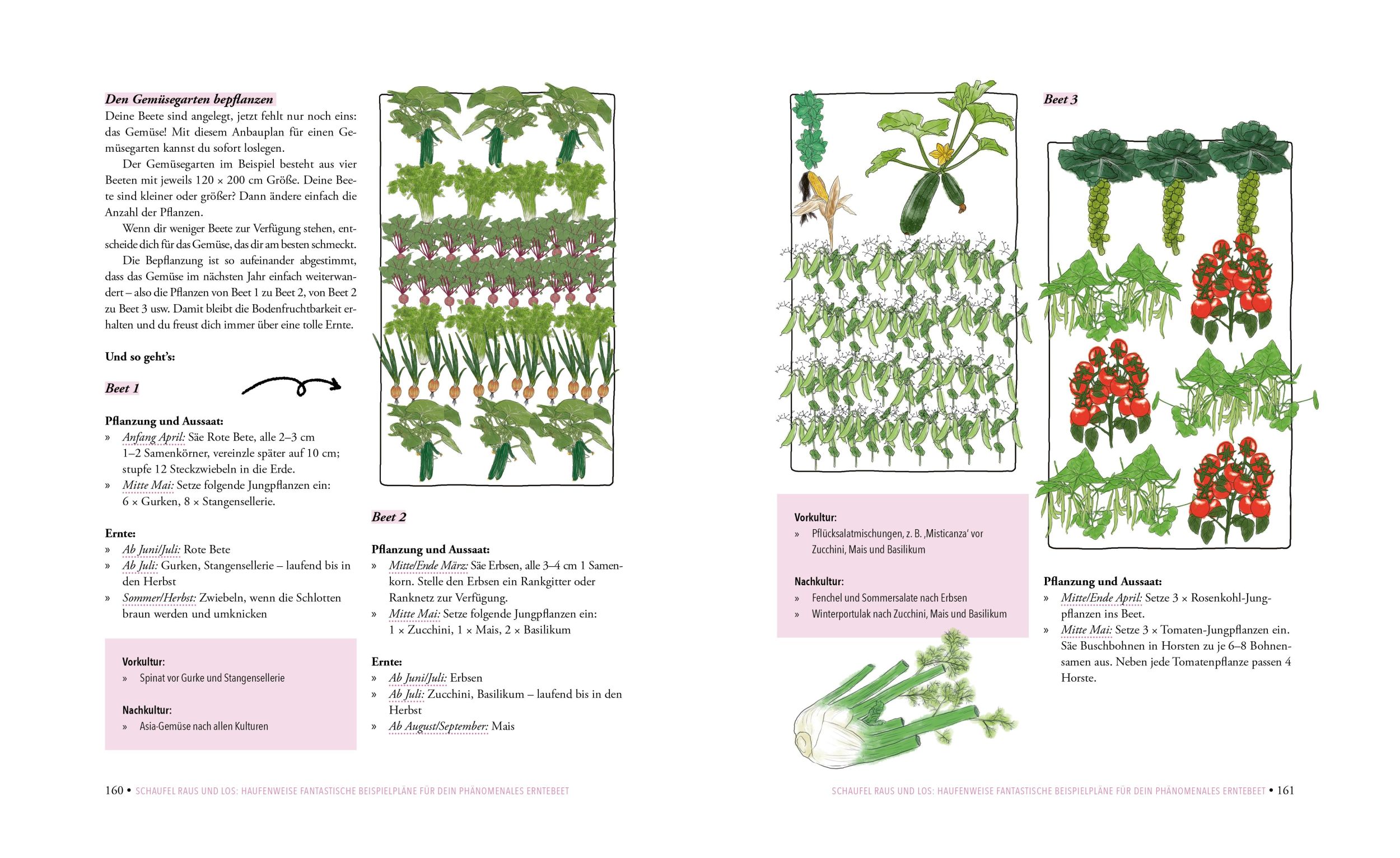 Bild: 9783706629683 | Das phänomenale Erntebeet | Doris Kampas | Buch | 168 S. | Deutsch