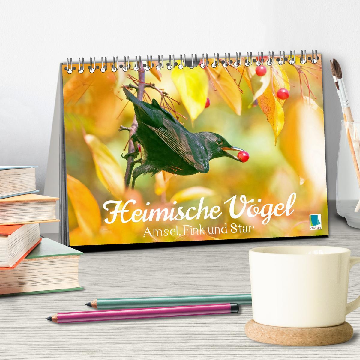 Bild: 9783383875182 | Amsel, Fink und Star: Heimische Vögel (Tischkalender 2025 DIN A5...