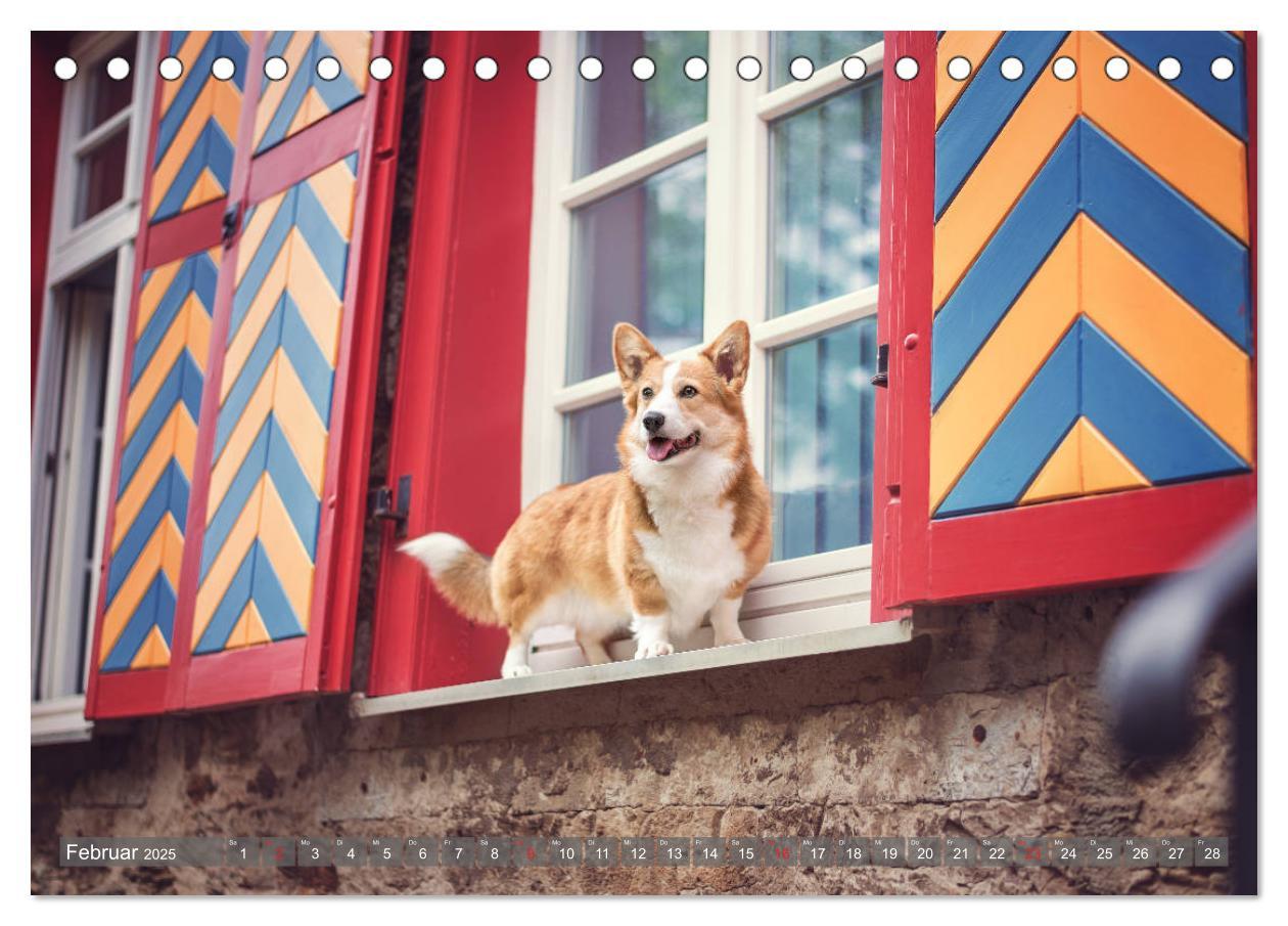 Bild: 9783435117925 | Welsh Corgi - Der Kobold unter den Hunden (Tischkalender 2025 DIN...