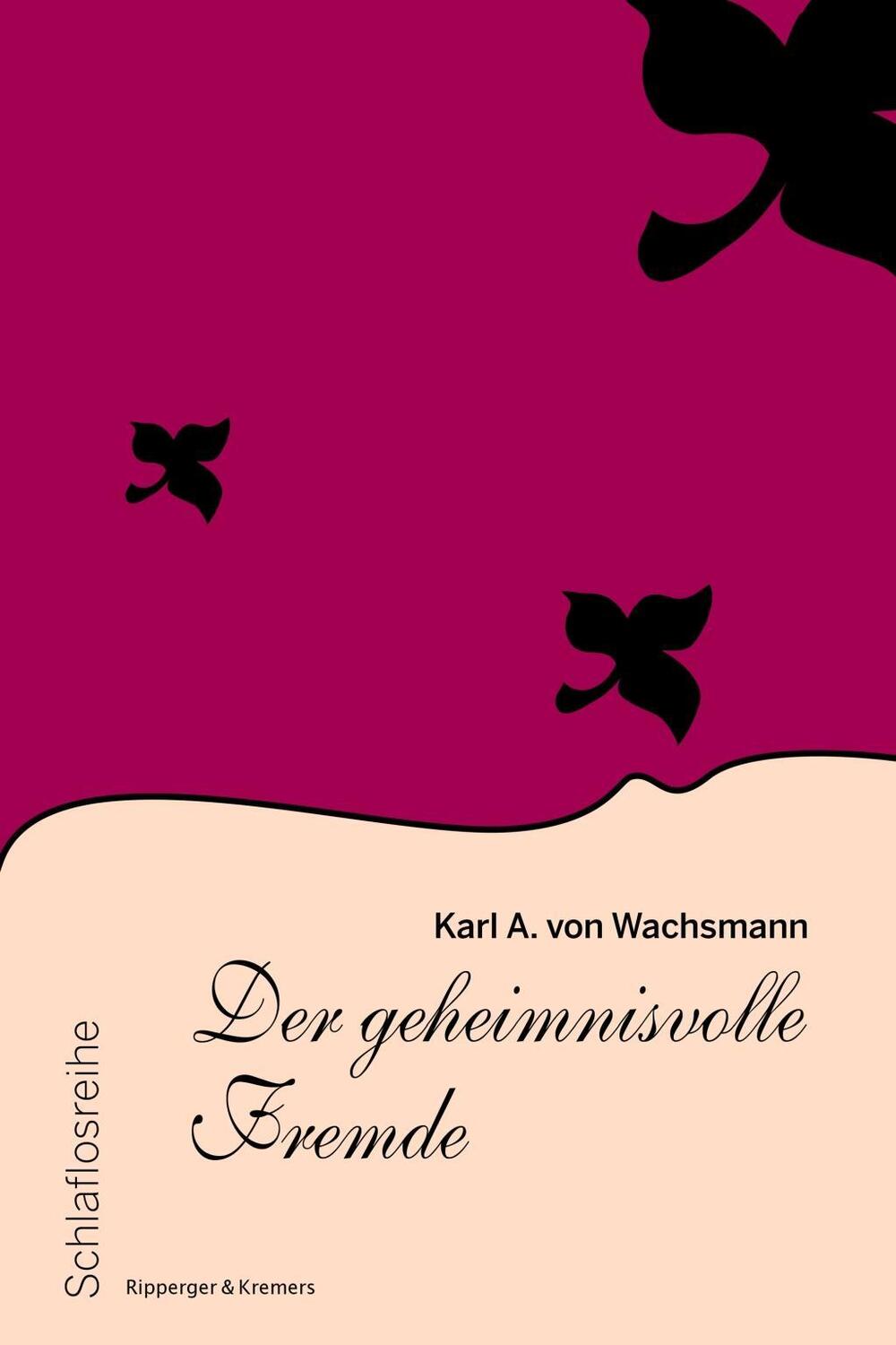 Cover: 9783943999969 | Der geheimnisvolle Fremde | Schlaflosreihe 10 | Karl A von Wachsmann