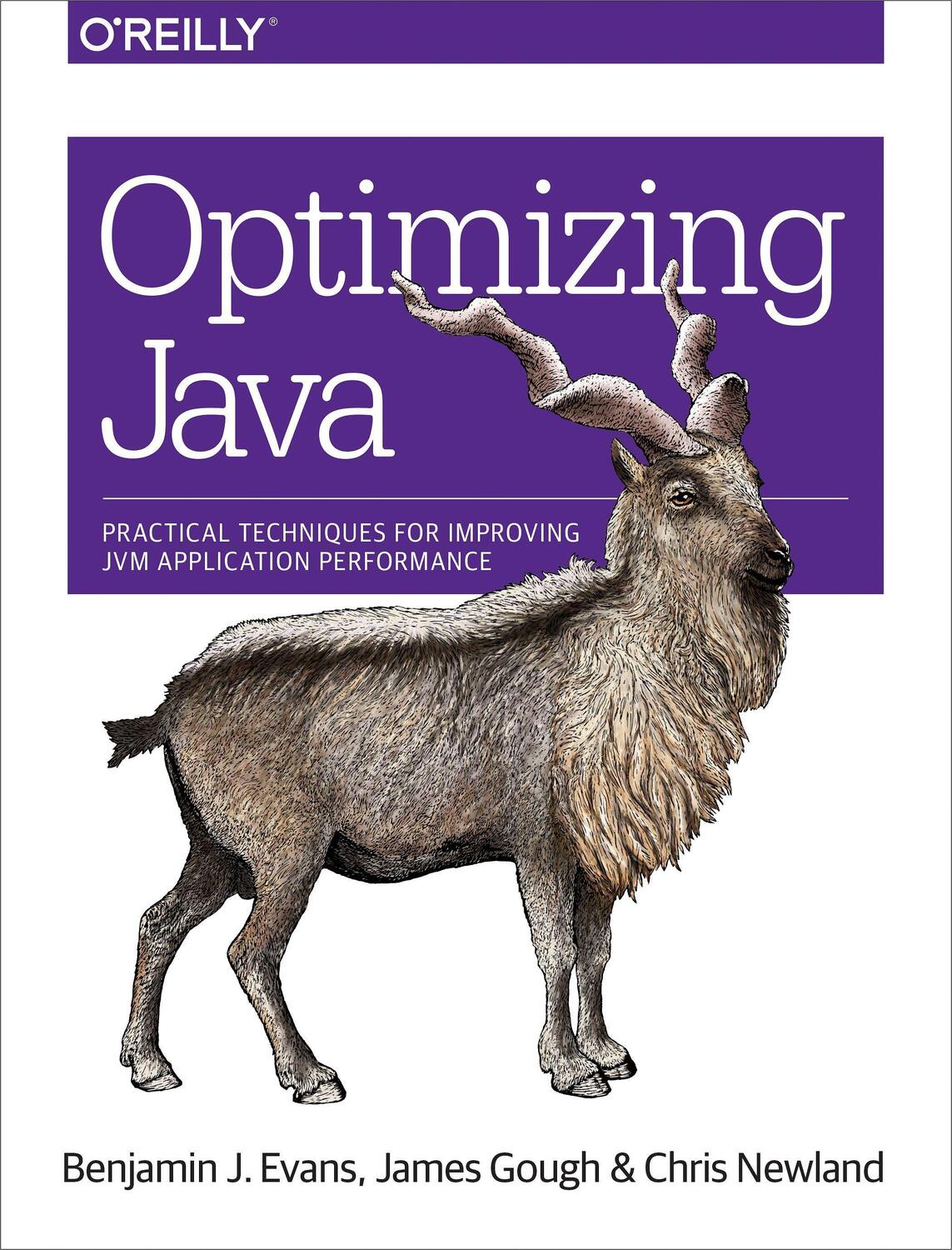Cover: 9781492025795 | Optimizing Java | Benjamin J. Evans (u. a.) | Taschenbuch | Englisch