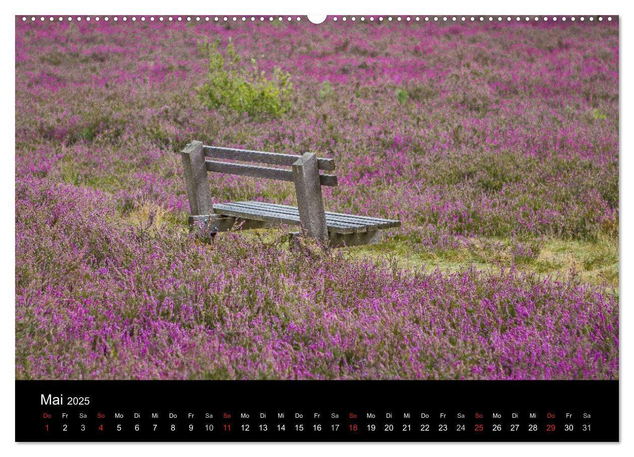 Bild: 9783435775040 | Lüneburger Heide (Wandkalender 2025 DIN A2 quer), CALVENDO...