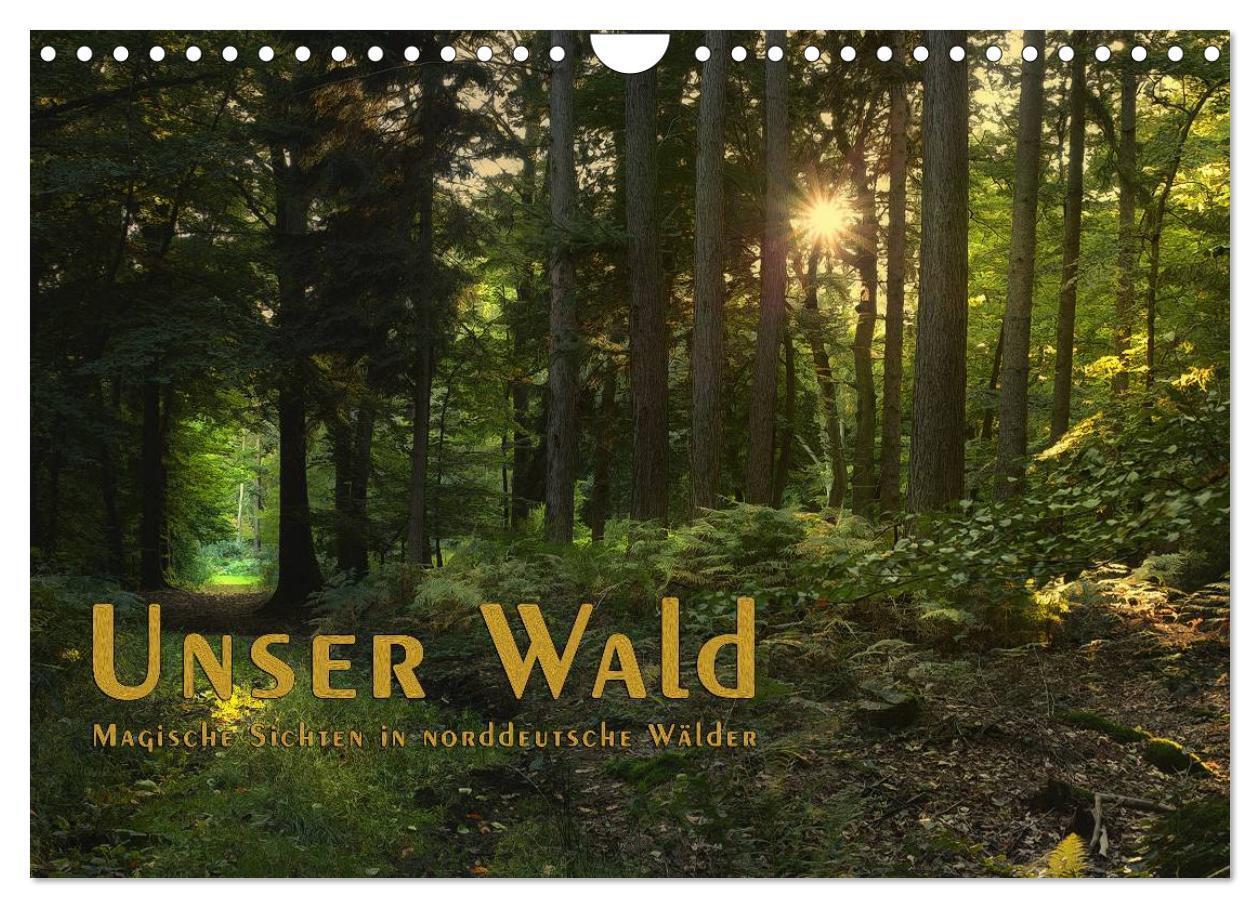 Cover: 9783435755448 | Unser Wald - Magische Sichten in norddeutsche Wälder /...