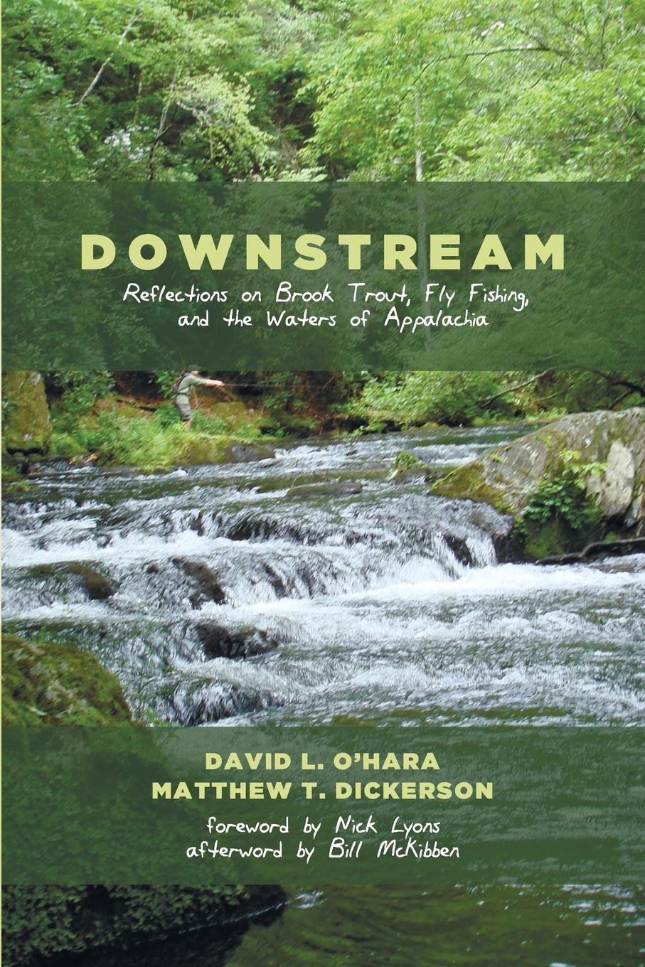 Cover: 9781625647276 | Downstream | David L. O'Hara (u. a.) | Taschenbuch | Paperback | 2014