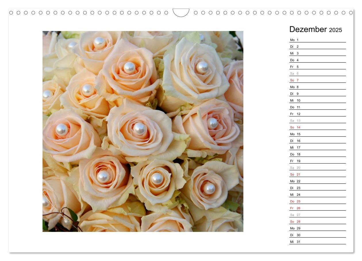 Bild: 9783435467761 | Die vielen Gesichter der Rosen (Wandkalender 2025 DIN A3 quer),...