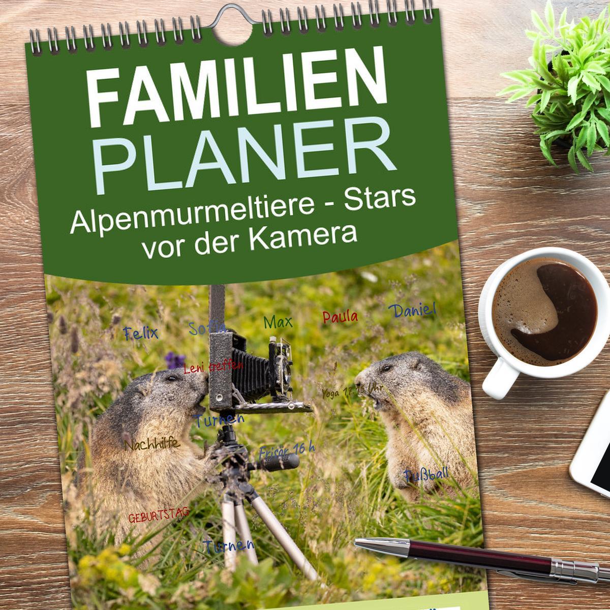 Bild: 9783457094396 | Familienplaner 2025 - Alpenmurmeltiere - Stars vor der Kamera mit 5...