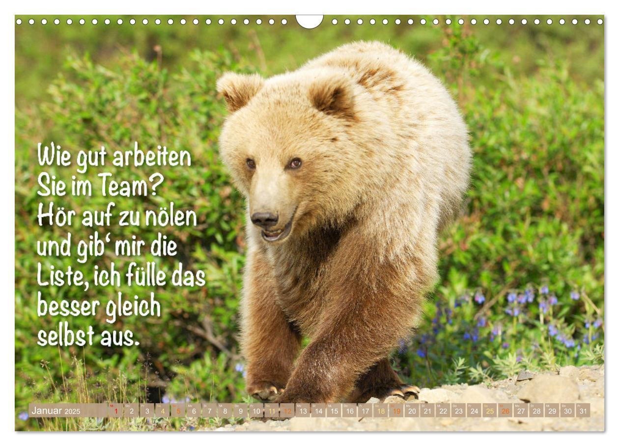 Bild: 9783383880773 | Spaß mit Bären: Edition lustige Tiere (Wandkalender 2025 DIN A3...