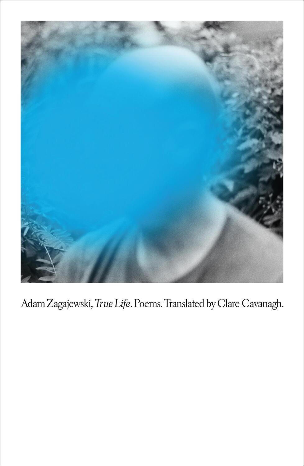 Cover: 9780374601560 | True Life | Poems | Adam Zagajewski | Buch | Gebunden | Englisch