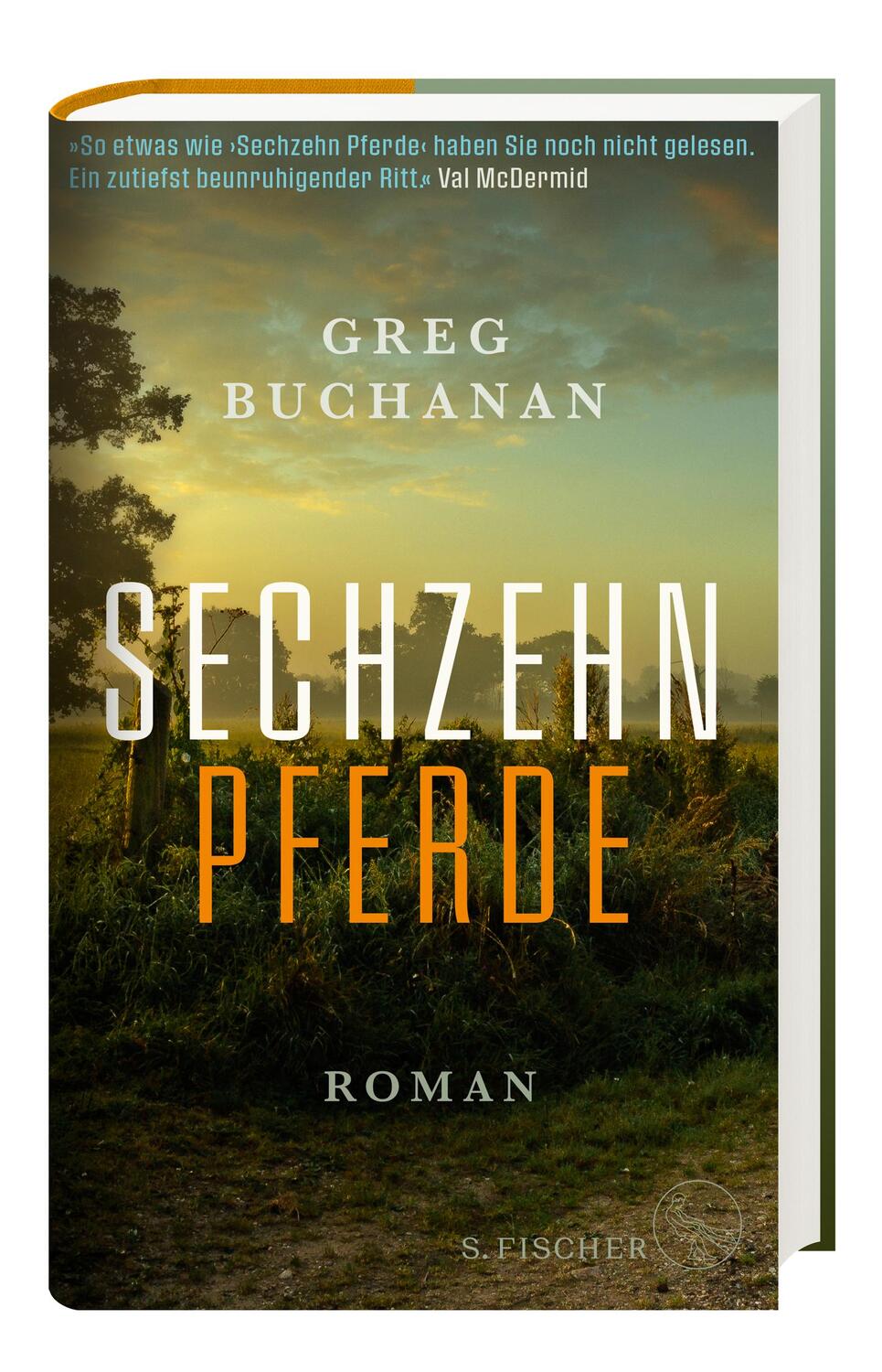 Bild: 9783103974881 | Sechzehn Pferde | Greg Buchanan | Buch | 448 S. | Deutsch | 2022