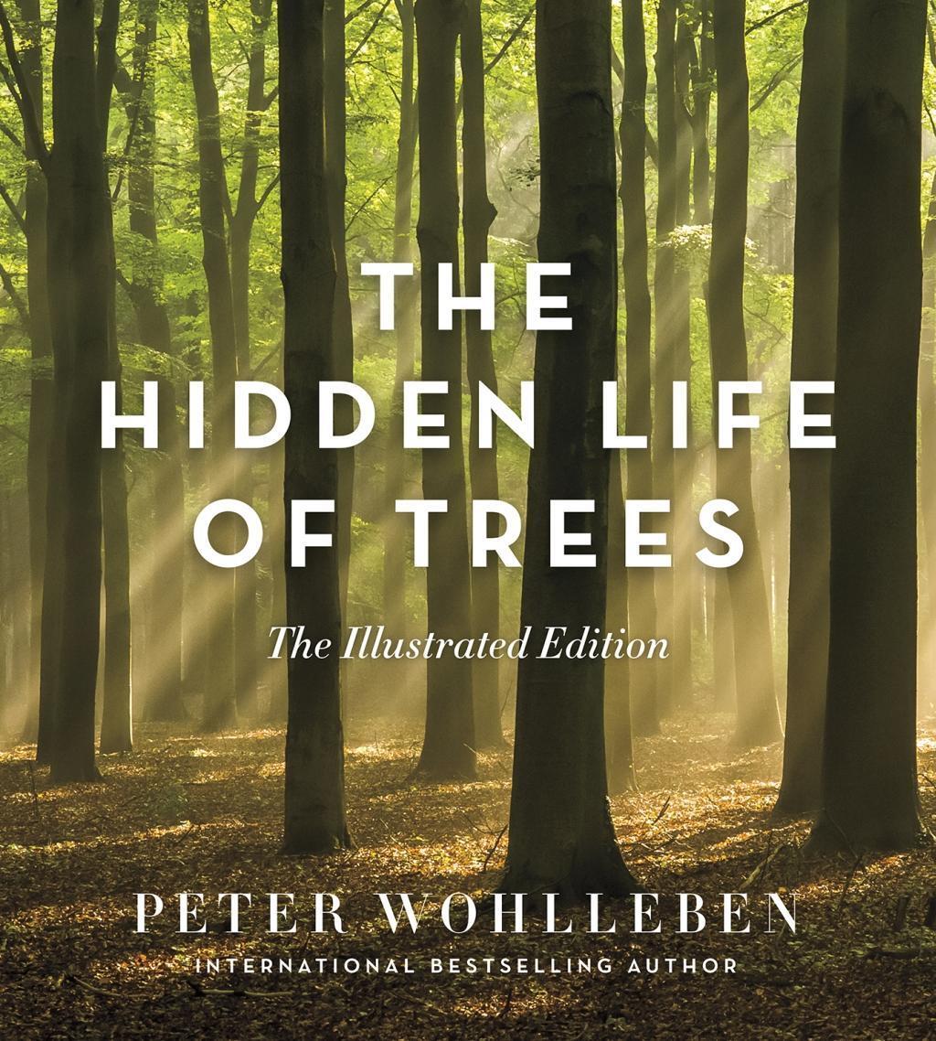 Cover: 9781771643481 | The Hidden Life of Trees: The Illustrated Edition | Peter Wohlleben