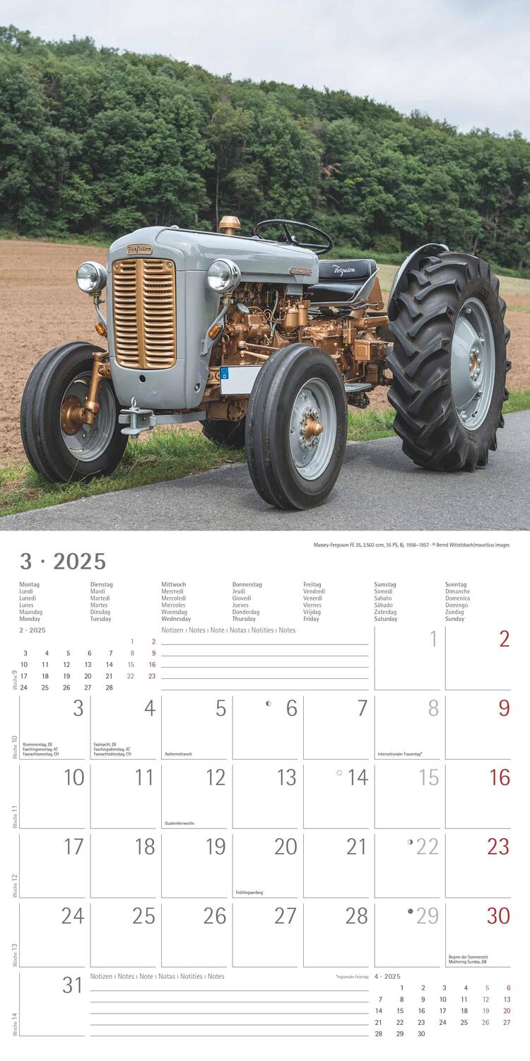 Bild: 4251732343170 | Traktoren Classics 2025 - Broschürenkalender 30x30 cm (30x60...