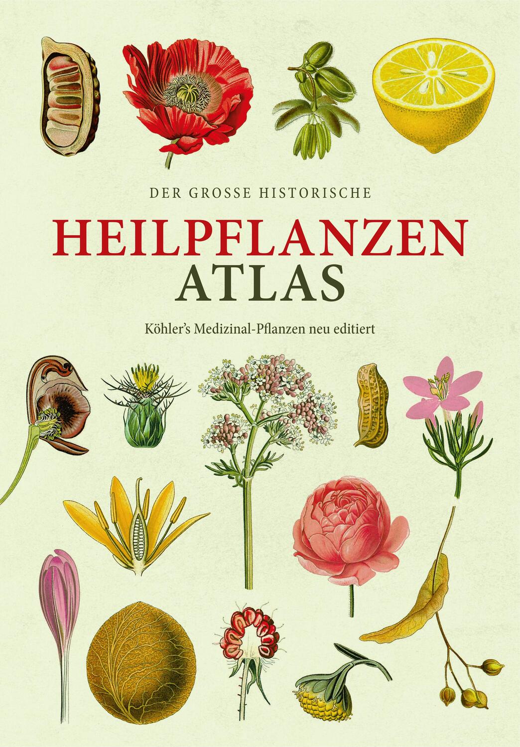 Cover: 9783968491158 | Der große Heilpflanzen-Atlas | Hermann Adolph Köhler | Buch | 240 S.