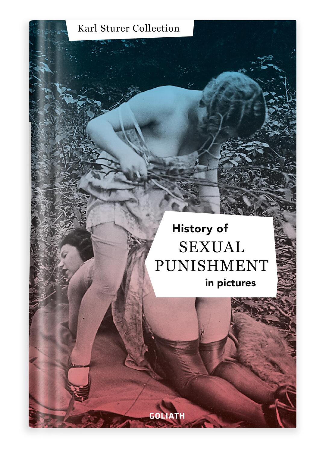 Cover: 9783957300485 | History of S:e:xual Punishment - in pictures (English Edition) | Buch