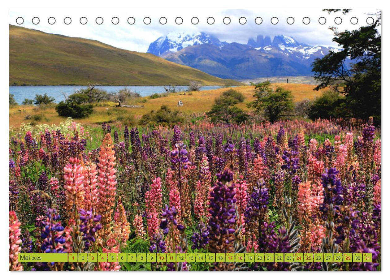 Bild: 9783435290192 | Märchenwelt Patagonien (Tischkalender 2025 DIN A5 quer), CALVENDO...